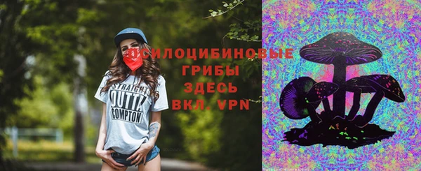 ECSTASY Алзамай