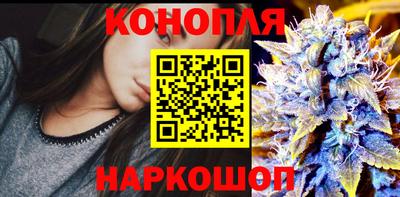 гидропоника Бийск