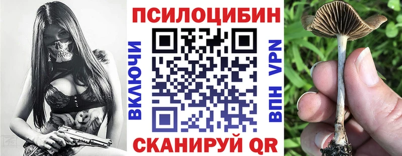 Псилоцибиновые грибы GOLDEN TEACHER  Карачаевск 