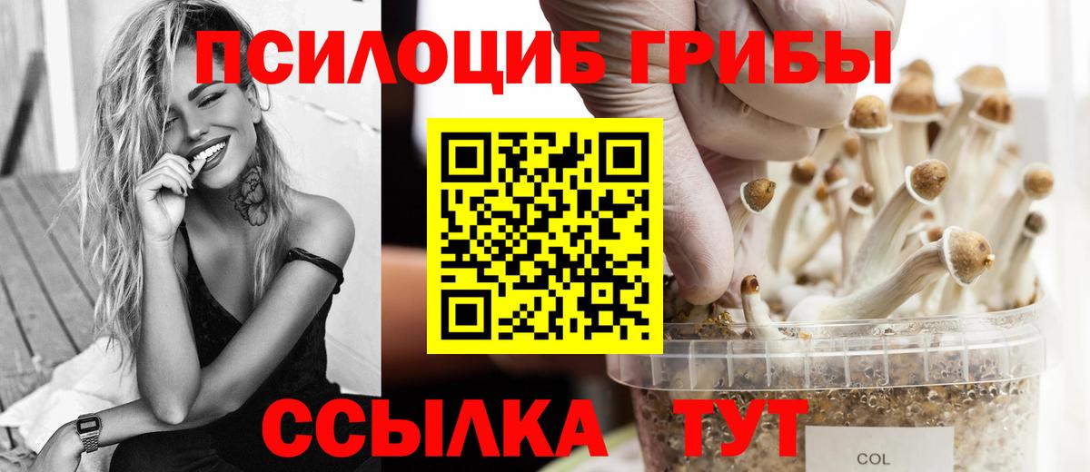 Псилоцибиновые грибы MAGIC MUSHROOMS  Вход с VPN  Карачаевск 