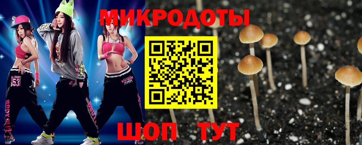 Галлюциногенные грибы ЛСД Карачаевск